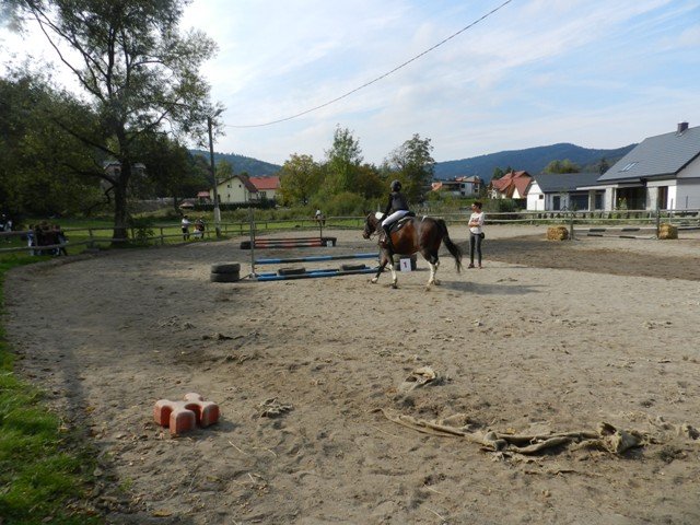 Babie Lato 2016